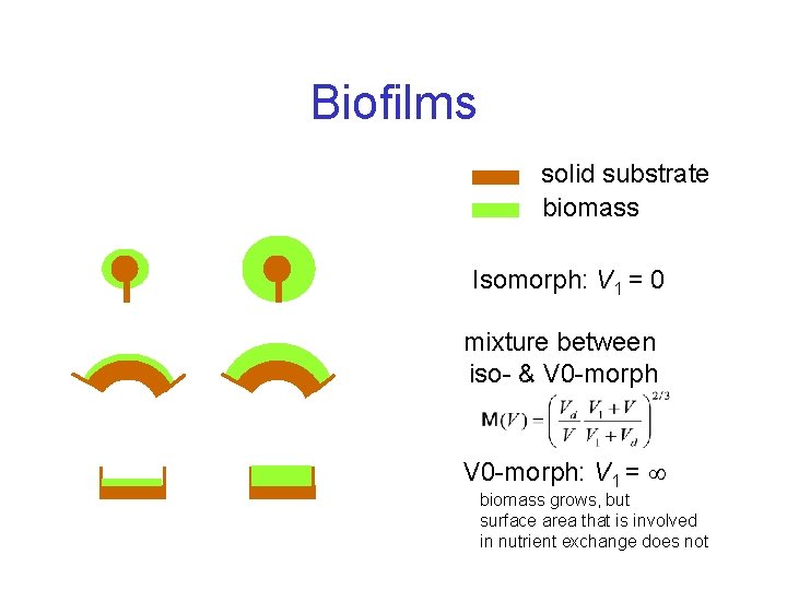 Biofilms solid substrate biomass Isomorph: V 1 = 0 mixture between iso- & V