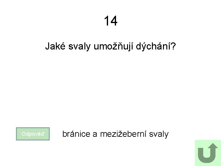 14 Jaké svaly umožňují dýchání? Odpověď bránice a mezižeberní svaly 