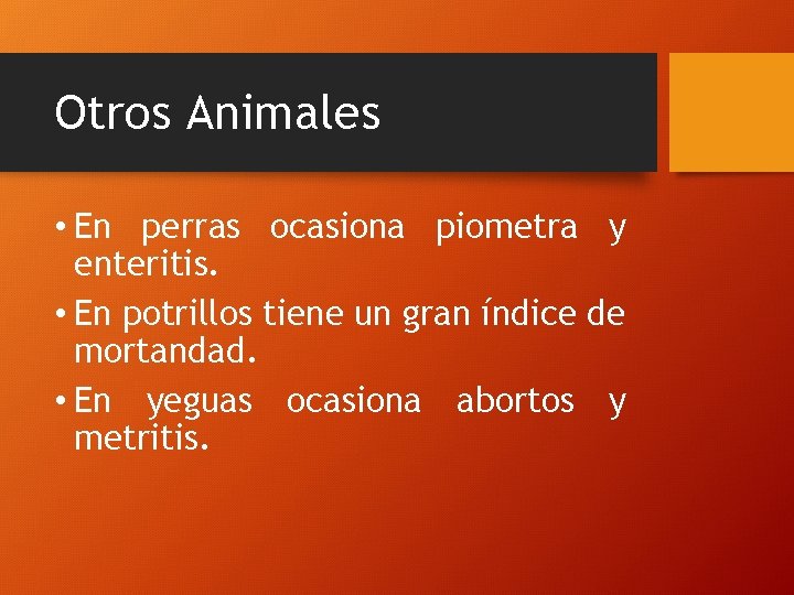 Otros Animales • En perras ocasiona piometra y enteritis. • En potrillos tiene un