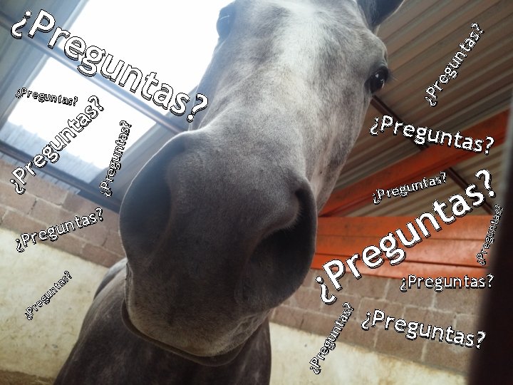 ¿P re gu nt as ? ¿P reg un t a s? s? ¿Pregu