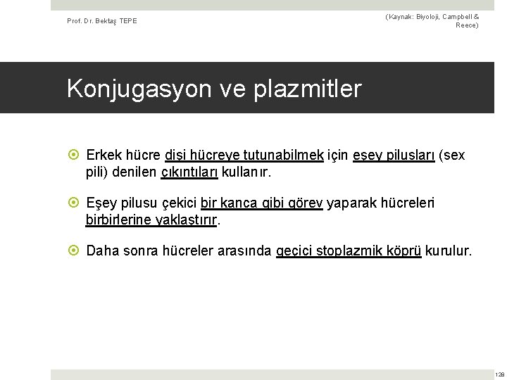 Prof. Dr. Bektaş TEPE (Kaynak: Biyoloji, Campbell & Reece) Konjugasyon ve plazmitler Erkek hücre