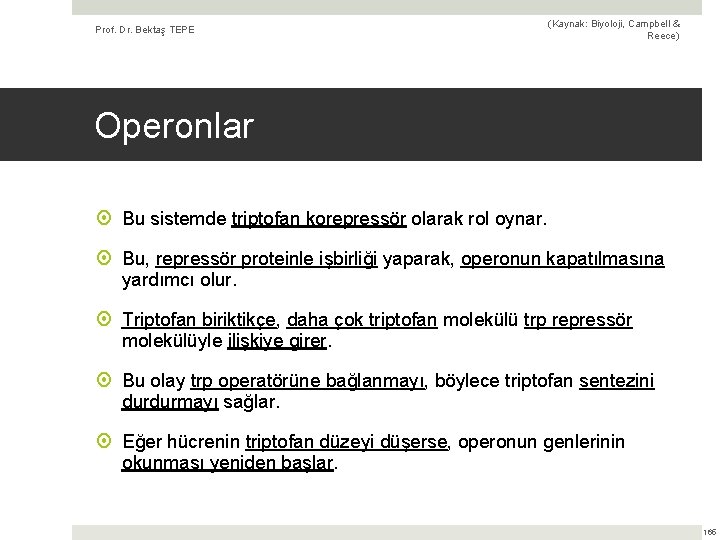 Prof. Dr. Bektaş TEPE (Kaynak: Biyoloji, Campbell & Reece) Operonlar Bu sistemde triptofan korepressör