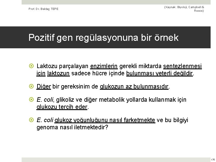 Prof. Dr. Bektaş TEPE (Kaynak: Biyoloji, Campbell & Reece) Pozitif gen regülasyonuna bir örnek