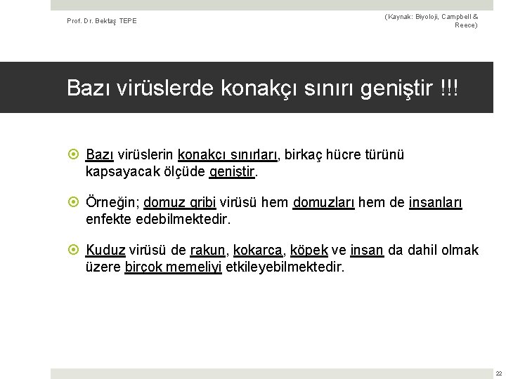 Prof. Dr. Bektaş TEPE (Kaynak: Biyoloji, Campbell & Reece) Bazı virüslerde konakçı sınırı geniştir