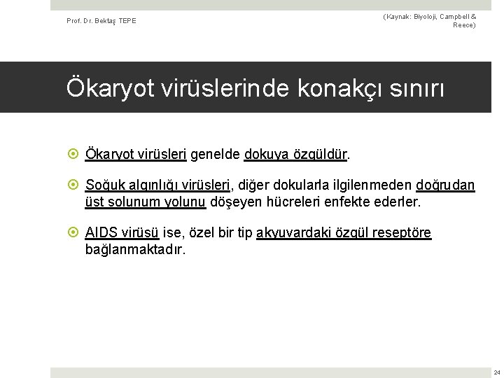 Prof. Dr. Bektaş TEPE (Kaynak: Biyoloji, Campbell & Reece) Ökaryot virüslerinde konakçı sınırı Ökaryot