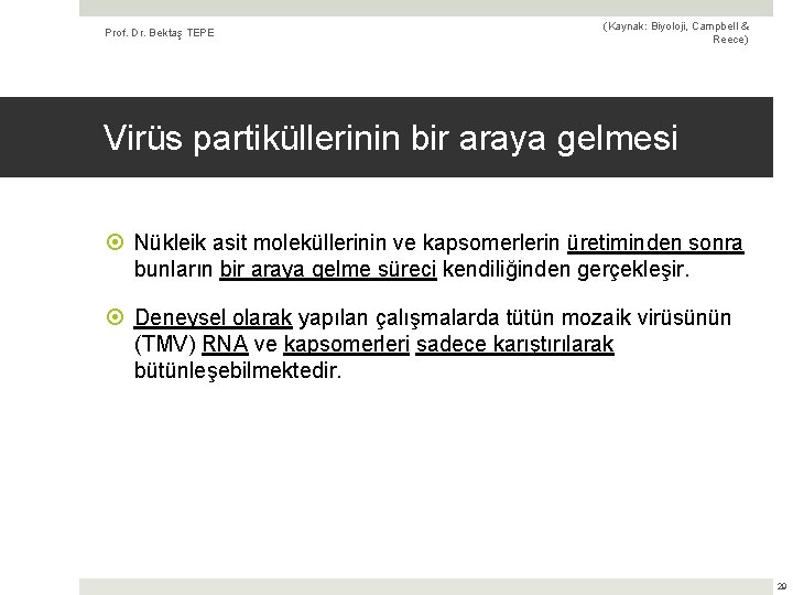 Prof. Dr. Bektaş TEPE (Kaynak: Biyoloji, Campbell & Reece) Virüs partiküllerinin bir araya gelmesi