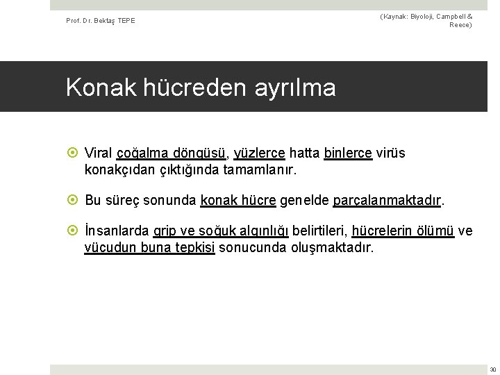 Prof. Dr. Bektaş TEPE (Kaynak: Biyoloji, Campbell & Reece) Konak hücreden ayrılma Viral çoğalma