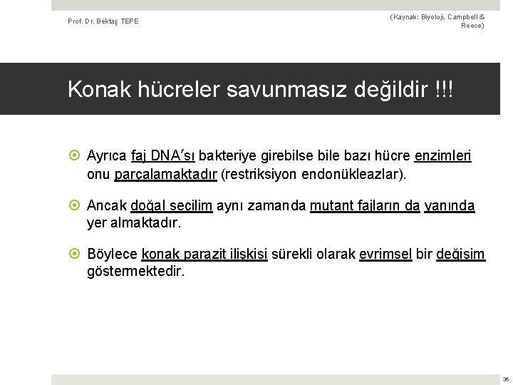 Prof. Dr. Bektaş TEPE (Kaynak: Biyoloji, Campbell & Reece) Konak hücreler savunmasız değildir !!!