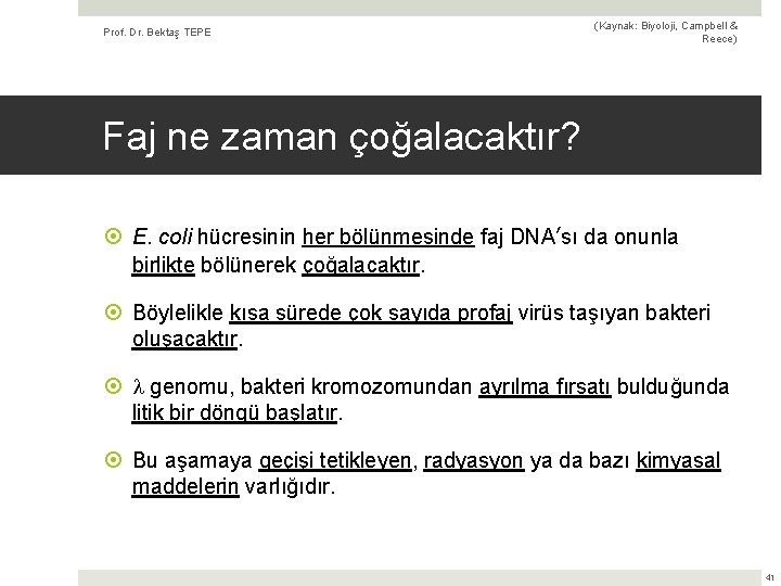 Prof. Dr. Bektaş TEPE (Kaynak: Biyoloji, Campbell & Reece) Faj ne zaman çoğalacaktır? E.