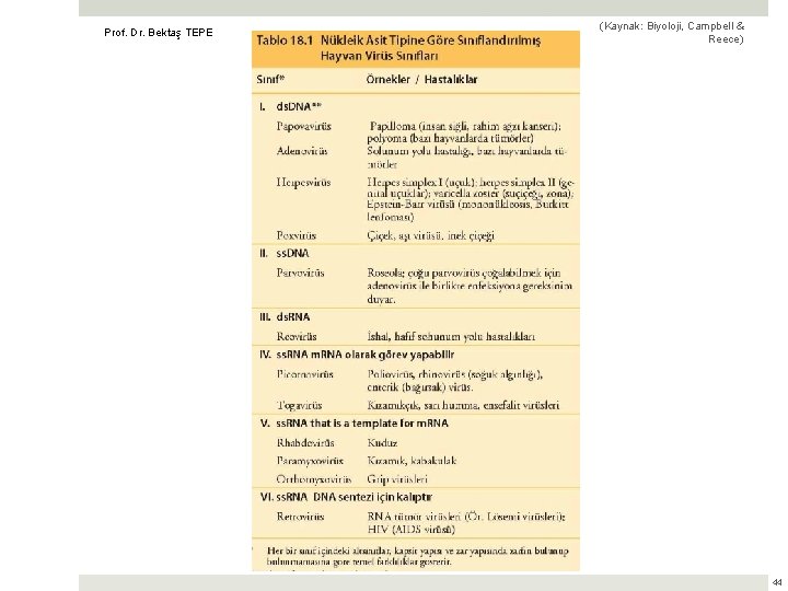 Prof. Dr. Bektaş TEPE (Kaynak: Biyoloji, Campbell & Reece) 44 