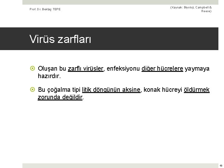 Prof. Dr. Bektaş TEPE (Kaynak: Biyoloji, Campbell & Reece) Virüs zarfları Oluşan bu zarflı