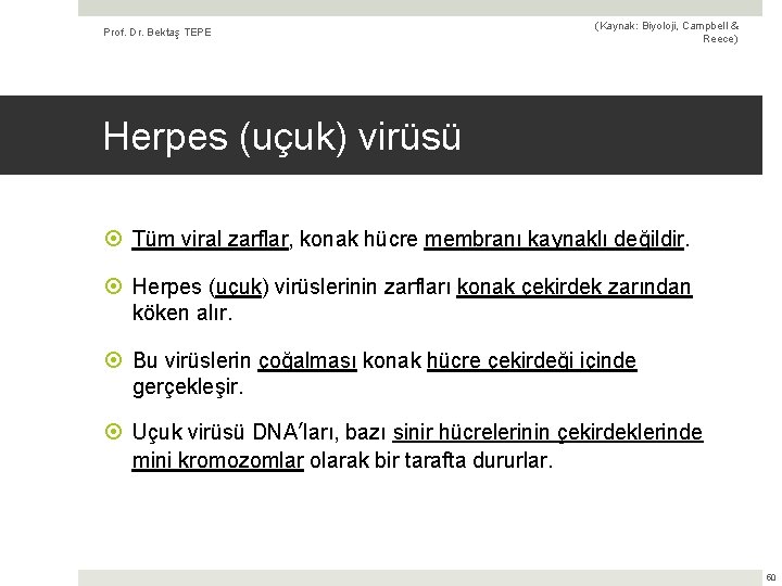 Prof. Dr. Bektaş TEPE (Kaynak: Biyoloji, Campbell & Reece) Herpes (uçuk) virüsü Tüm viral