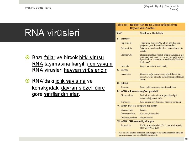 Prof. Dr. Bektaş TEPE (Kaynak: Biyoloji, Campbell & Reece) RNA virüsleri Bazı fajlar ve