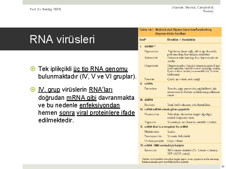 Prof. Dr. Bektaş TEPE (Kaynak: Biyoloji, Campbell & Reece) RNA virüsleri Tek iplikçikli üç