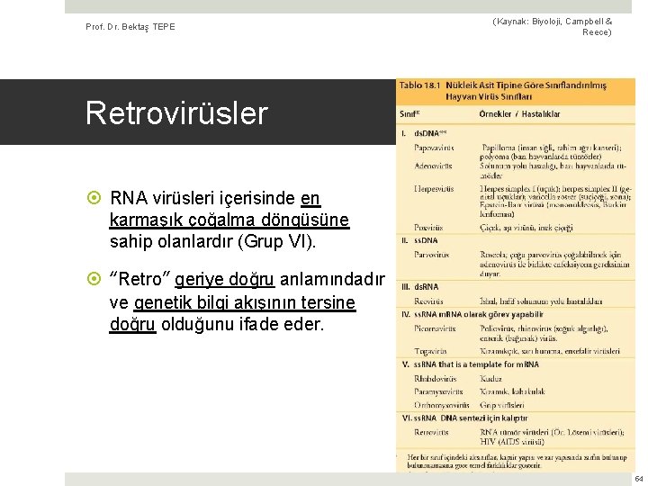 Prof. Dr. Bektaş TEPE (Kaynak: Biyoloji, Campbell & Reece) Retrovirüsler RNA virüsleri içerisinde en