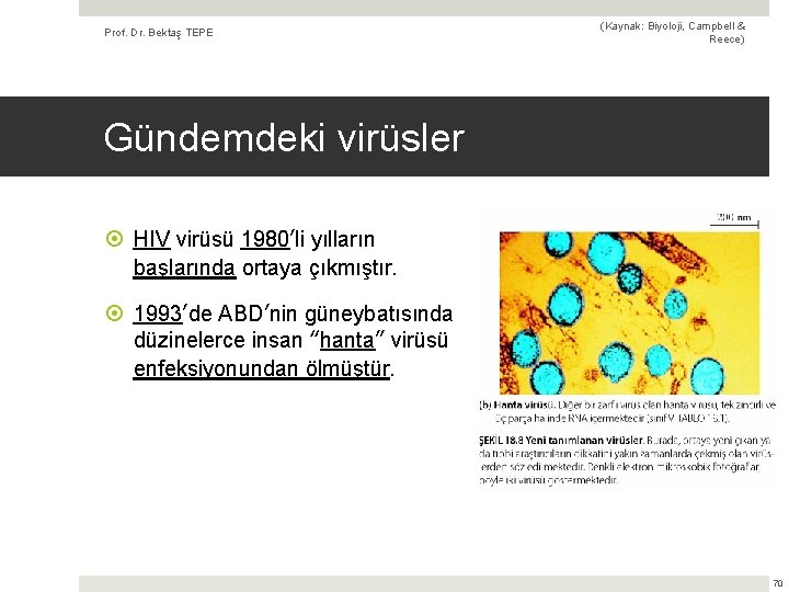 Prof. Dr. Bektaş TEPE (Kaynak: Biyoloji, Campbell & Reece) Gündemdeki virüsler HIV virüsü 1980’li