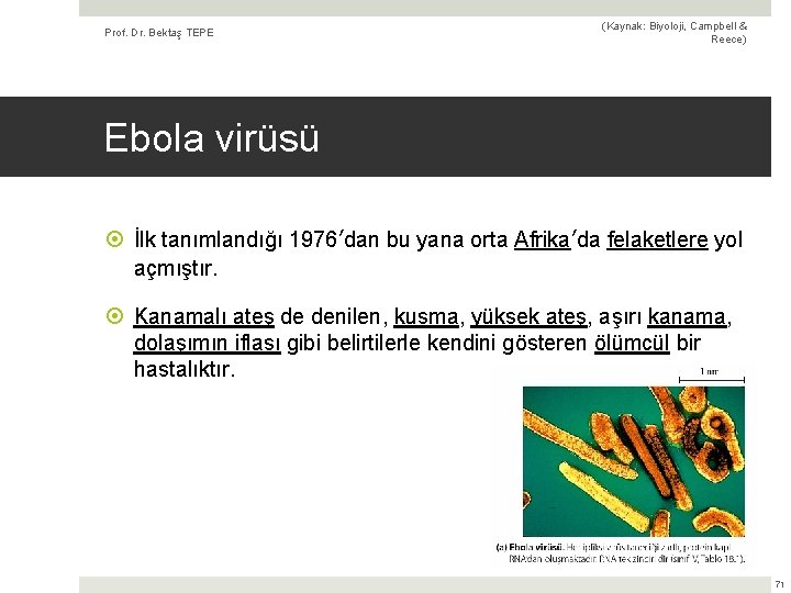 Prof. Dr. Bektaş TEPE (Kaynak: Biyoloji, Campbell & Reece) Ebola virüsü İlk tanımlandığı 1976’dan