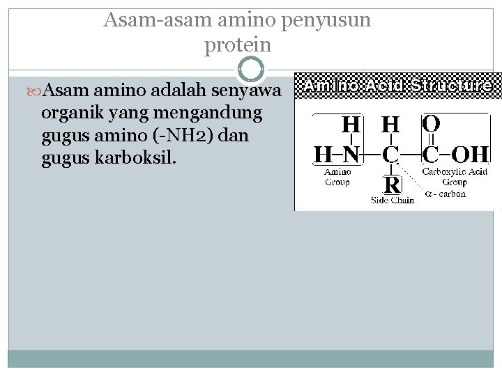 Asam-asam amino penyusun protein Asam amino adalah senyawa organik yang mengandung gugus amino (-NH