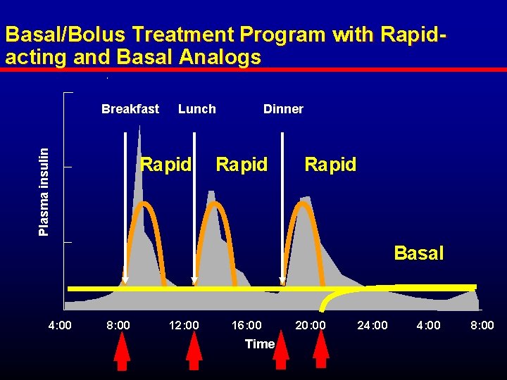 Basal/Bolus Treatment Program with Rapidacting and Basal Analogs Plasma insulin Breakfast Lunch Rapid Dinner