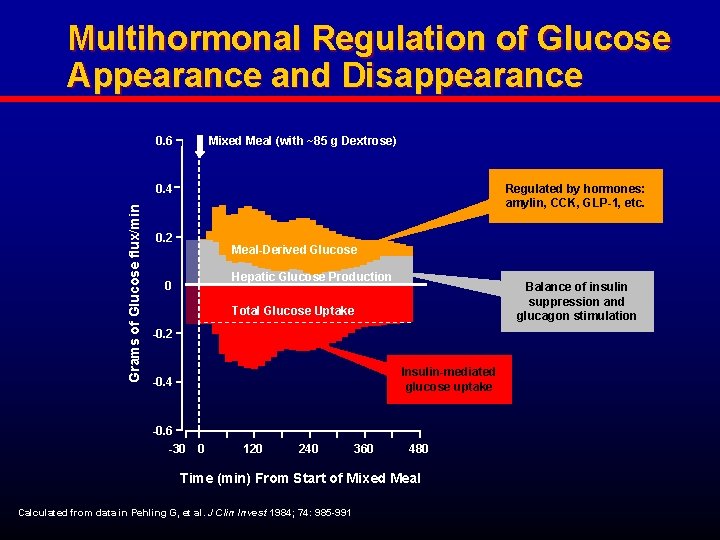 Multihormonal Regulation of Glucose Appearance and Disappearance 0. 6 Mixed Meal (with ~85 g