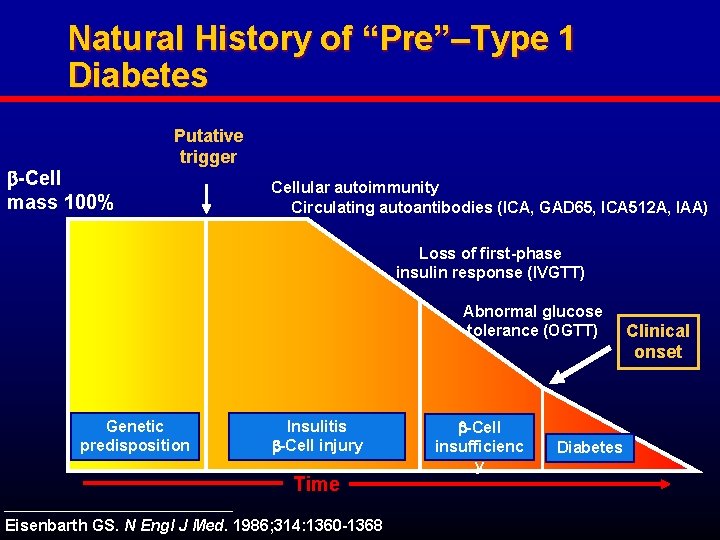 Natural History of “Pre”–Type 1 Diabetes -Cell mass 100% Putative trigger Cellular autoimmunity Circulating