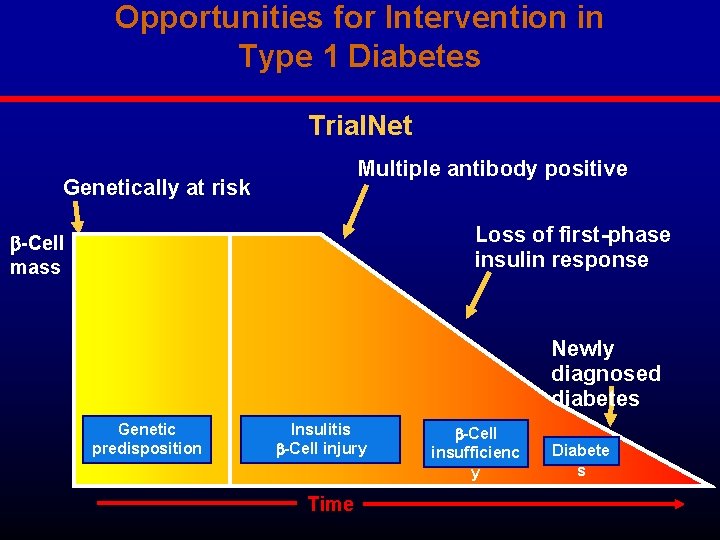 Opportunities for Intervention in Type 1 Diabetes Trial. Net Multiple antibody positive Genetically at