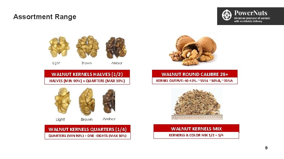 Assortment Range WALNUT KERNELS HALVES (1/2) WALNUT ROUND CALIBRE 28+ HALVES (MIN 90%) + Assortment Range WALNUT KERNELS HALVES (1/2) WALNUT ROUND CALIBRE 28+ HALVES (MIN 90%) +