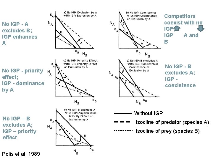 Competitors coexist with no IGP; IGP A and B No IGP - A excludes