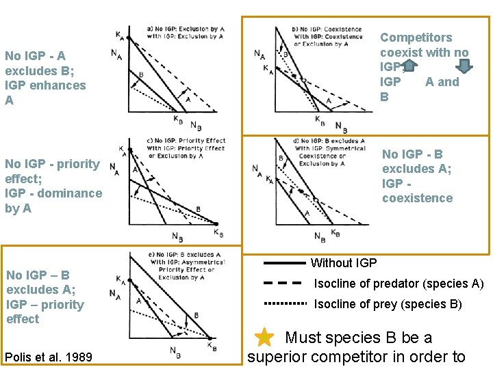 Competitors coexist with no IGP; IGP A and B No IGP - A excludes