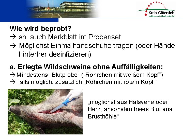 Wie wird beprobt? sh. auch Merkblatt im Probenset Möglichst Einmalhandschuhe tragen (oder Hände hinterher