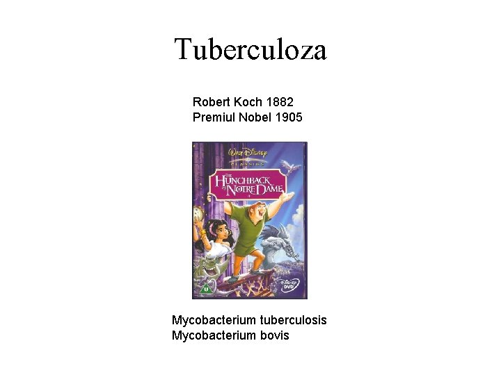 Tuberculoza Robert Koch 1882 Premiul Nobel 1905 Mycobacterium tuberculosis Mycobacterium bovis 