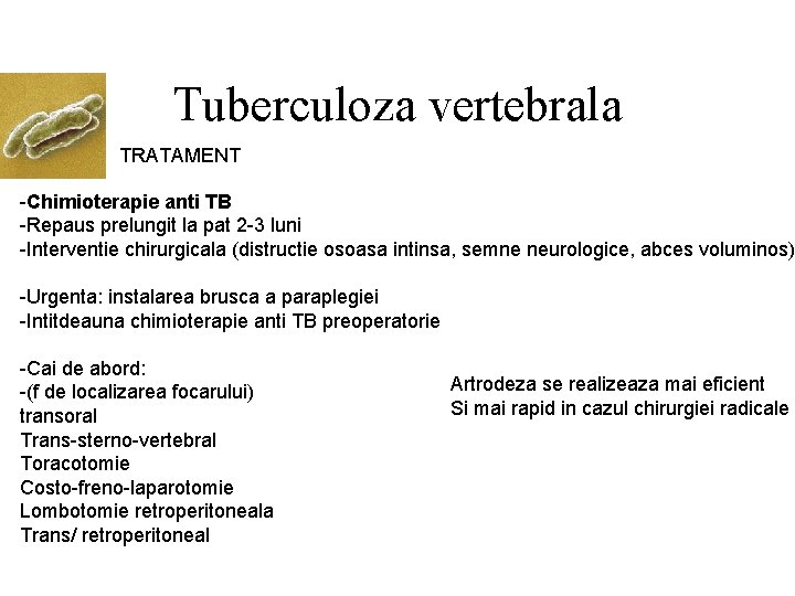 Tuberculoza vertebrala TRATAMENT -Chimioterapie anti TB -Repaus prelungit la pat 2 -3 luni -Interventie