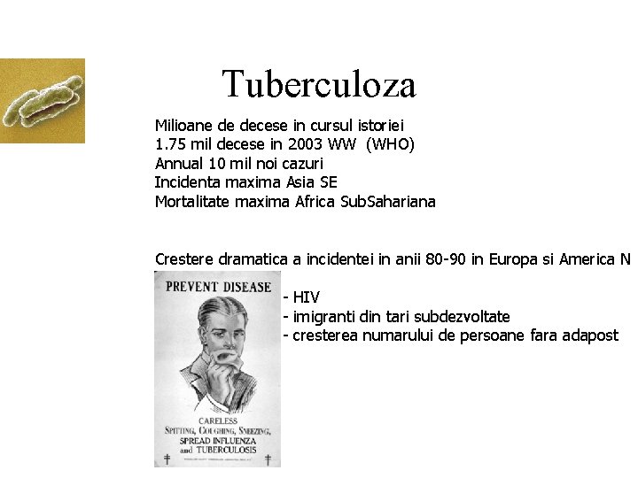 Tuberculoza Milioane de decese in cursul istoriei 1. 75 mil decese in 2003 WW