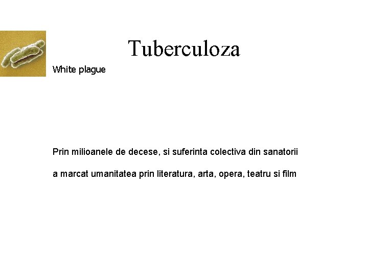 Tuberculoza White plague Prin milioanele de decese, si suferinta colectiva din sanatorii a marcat