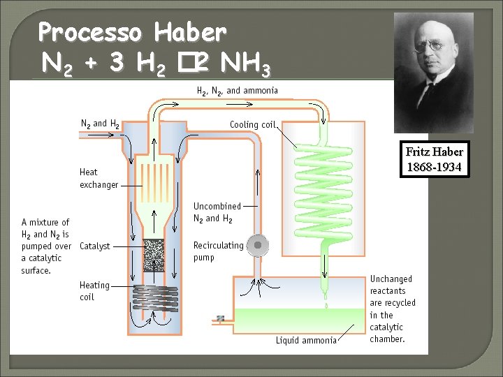 Processo Haber N 2 + 3 H 2 � 2 NH 3 Fritz Haber