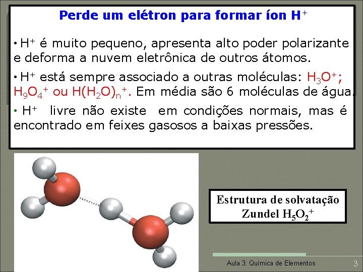 Perde um elétron para formar íon H+ • H+ é muito pequeno, apresenta alto