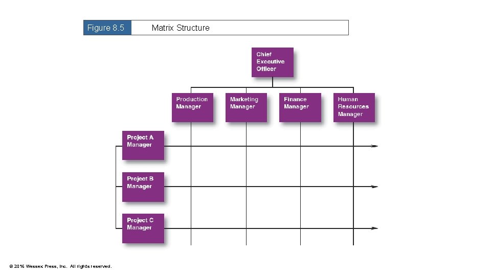 Figure 8. 5 © 2016 Wessex Press, Inc. All rights reserved. Matrix Structure 