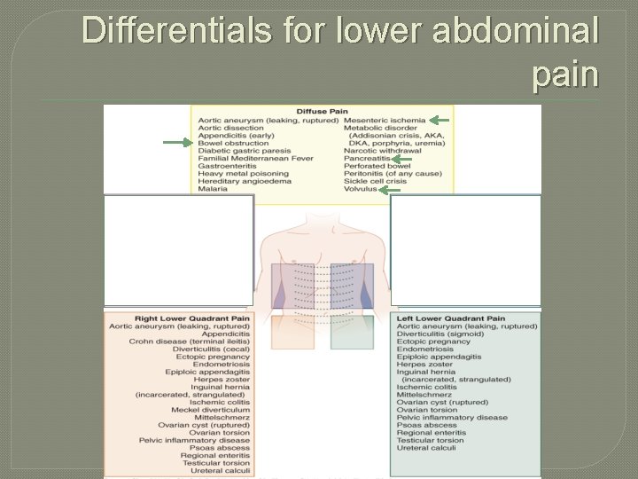 Differentials for lower abdominal pain 
