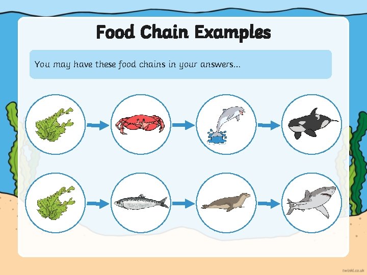 Food Chain Examples You may have these food chains in your answers… 