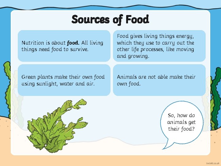 Sources of Food Nutrition is about food. All living things need food to survive.