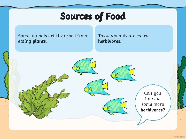 Sources of Food Some animals get their food from eating plants. These animals are