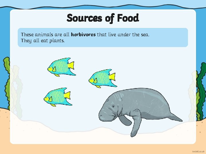 Sources of Food These animals are all herbivores that live under the sea. They