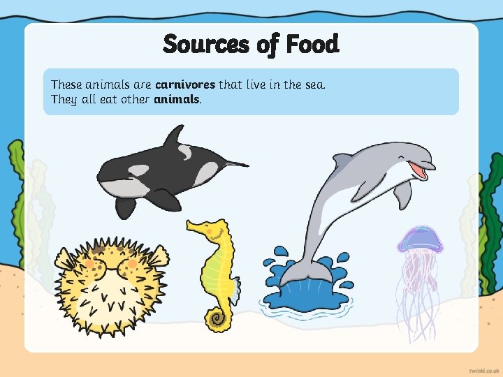 Sources of Food These animals are carnivores that live in the sea. They all