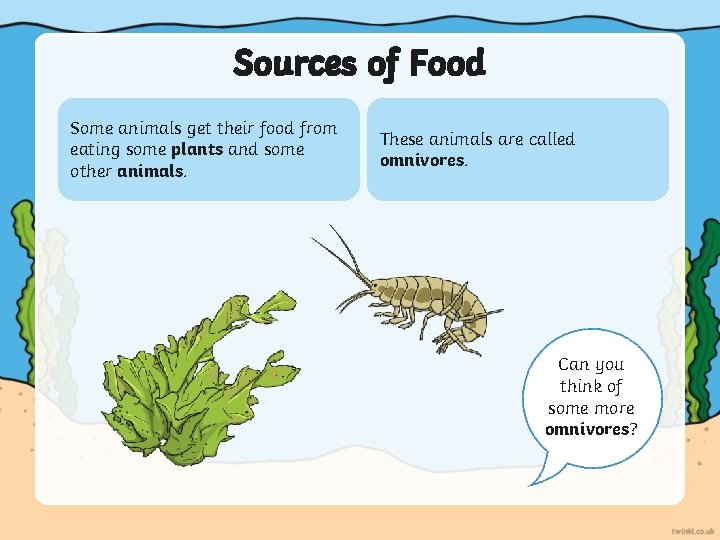 Sources of Food Some animals get their food from eating some plants and some