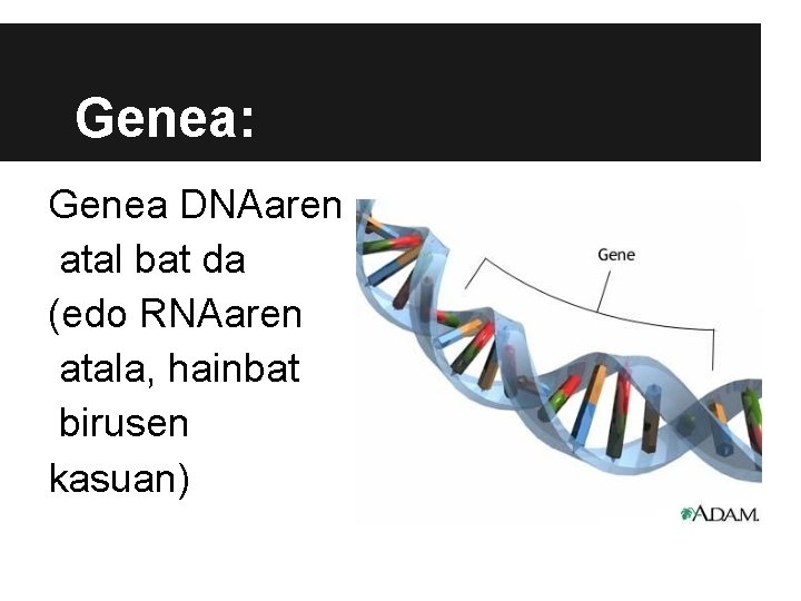 Genea: Genea DNAaren atal bat da (edo RNAaren atala, hainbat birusen kasuan) 