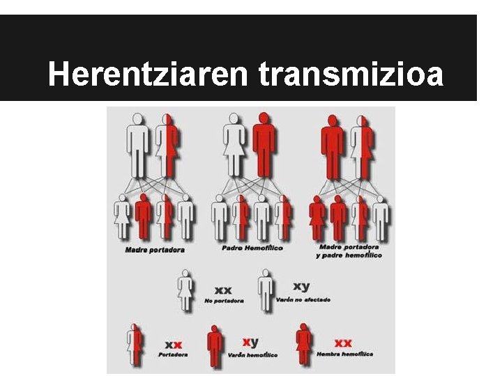 Herentziaren transmizioa 