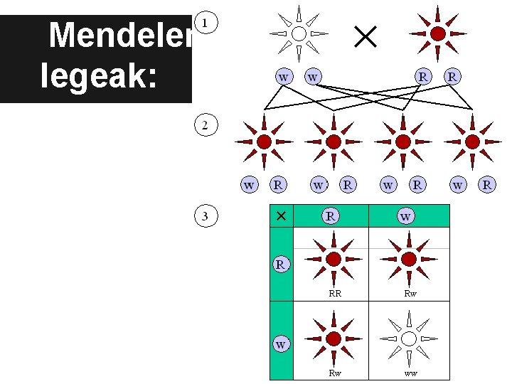 Mendelen legeak: 
