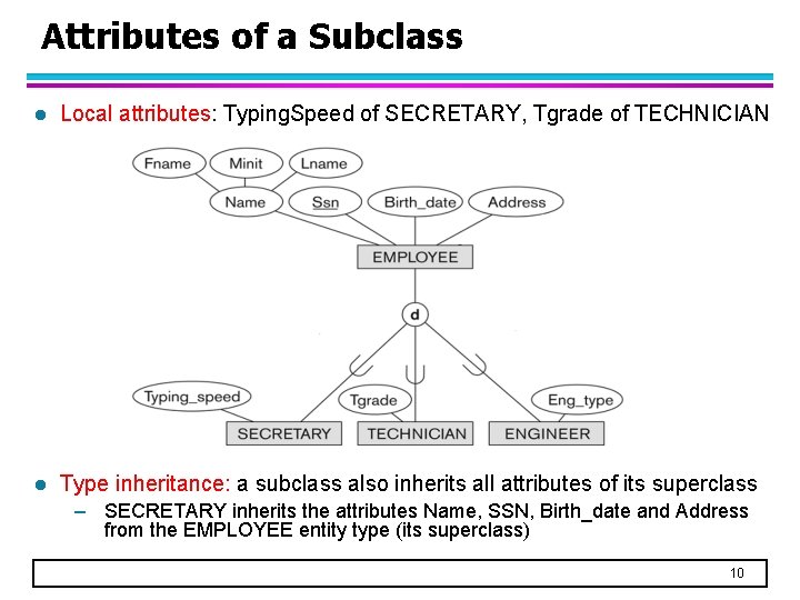 Attributes of a Subclass l Local attributes: Typing. Speed of SECRETARY, Tgrade of TECHNICIAN