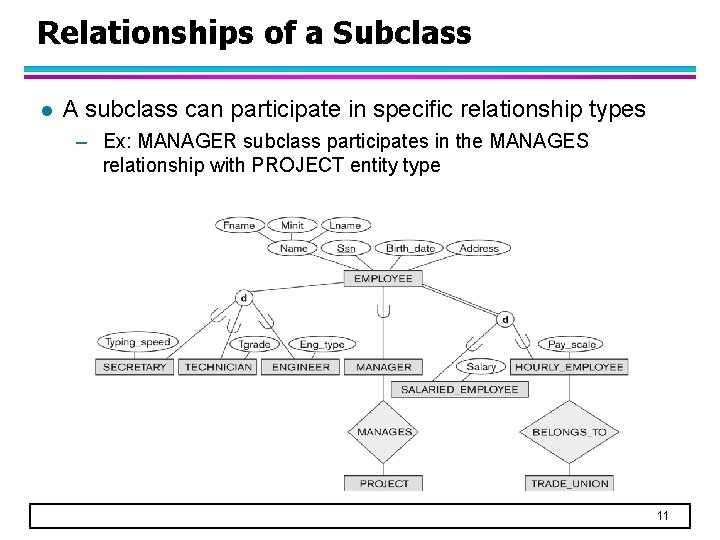Relationships of a Subclass l A subclass can participate in specific relationship types –