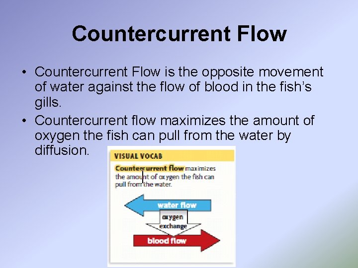 Countercurrent Flow • Countercurrent Flow is the opposite movement of water against the flow